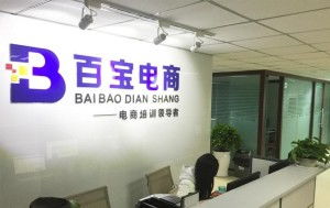 成都百寶教育咨詢 專業引領，成就未來教育之路